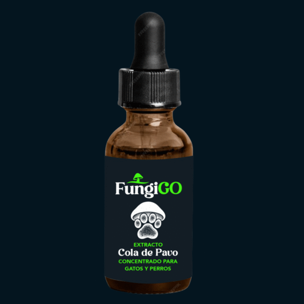 Extracto de Hongo Cola de pavo PET en gotas 30 ML Concentración 2,5:1